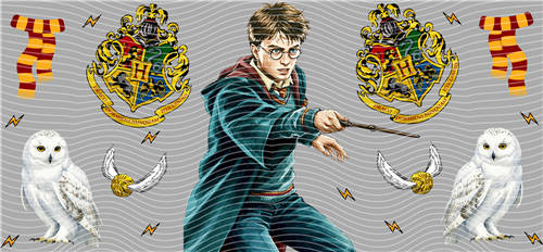 16oz Latest Bestseller-C 8215